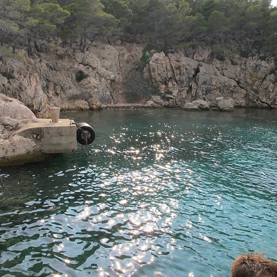 Thumbnail Image 1